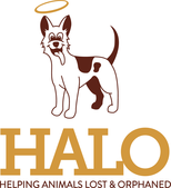 HALO is Having a Trunk or Treat on October 31st from 1 - 4pm