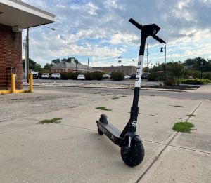 Bird Scooters resize